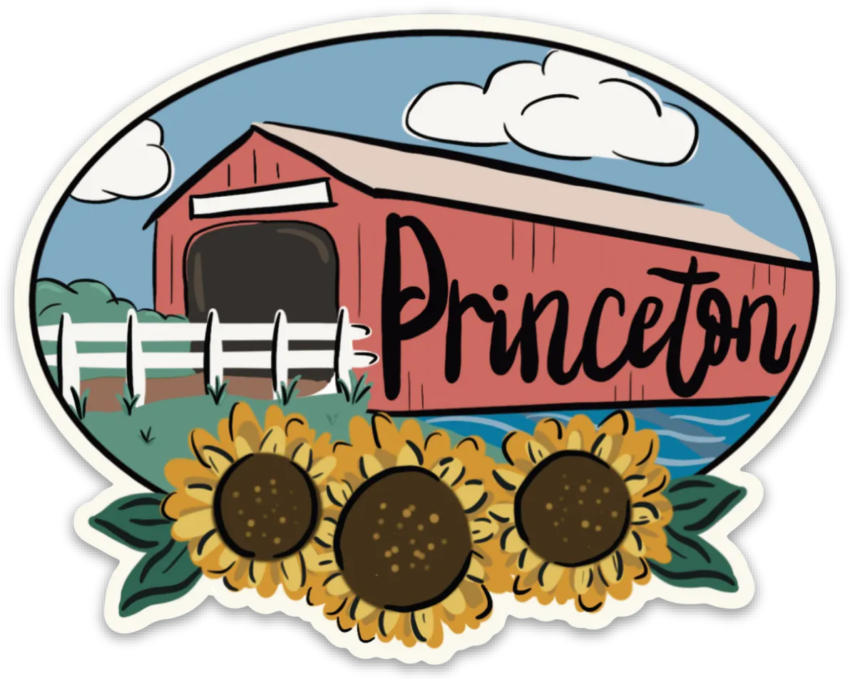 Princeton Decal Stickers - Assorted Styles