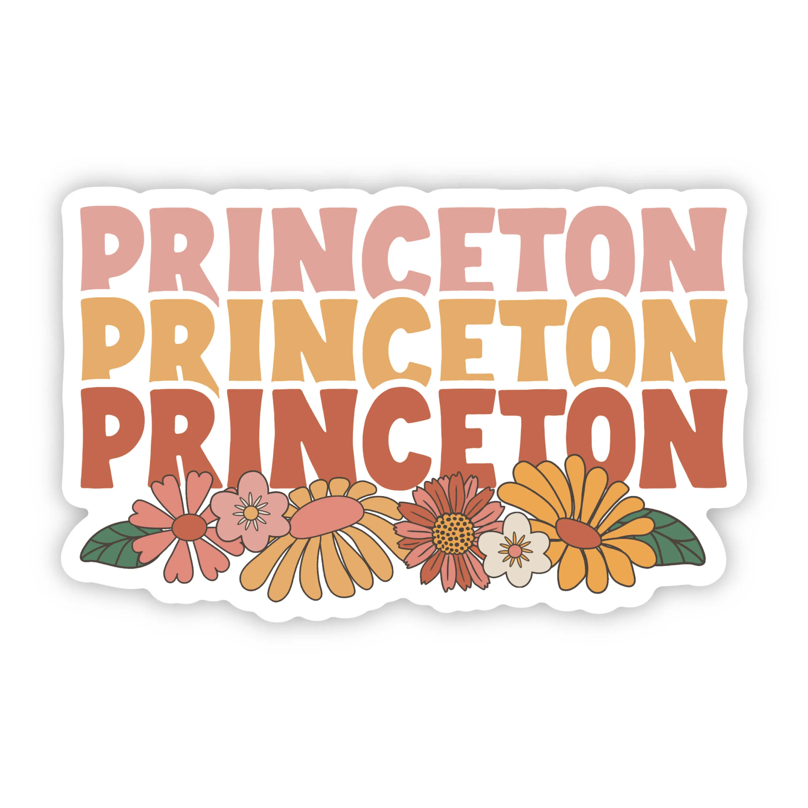 Princeton Decal Stickers - Assorted Styles